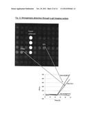 GFP MUTAGENESIS AMPLIFICATION: USE OF A FLUORESCENCE-ANTIBIOTIC RESISTANCE     FUSION DUAL REPORTER CONSTRUCT TO PROVIDE QUANTITATIVE AND HIGHLY     SENSITIVE DETECTION OF MUTATIONS diagram and image