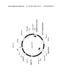 METHODS FOR PRODUCING RECOMBINANT PROTEINS diagram and image