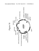 METHODS FOR PRODUCING RECOMBINANT PROTEINS diagram and image