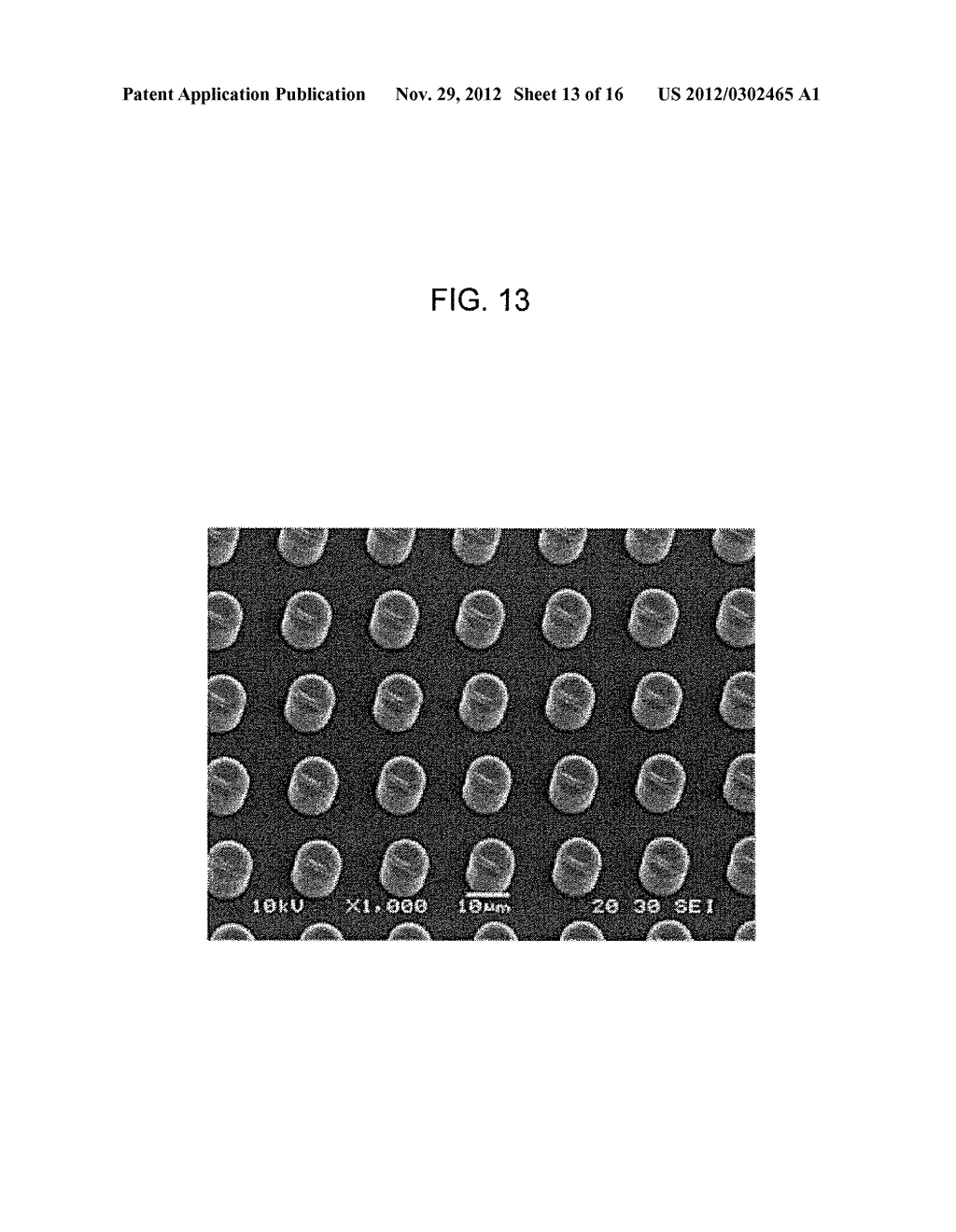 POLYMERIC STRUCTURES FOR ADSORBING BIOLOGICAL MATERIAL AND THEIR METHOD OF     PREPARATION - diagram, schematic, and image 14