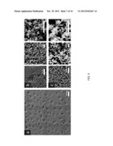 Patterned substrates for cell applications diagram and image