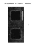 Patterned substrates for cell applications diagram and image