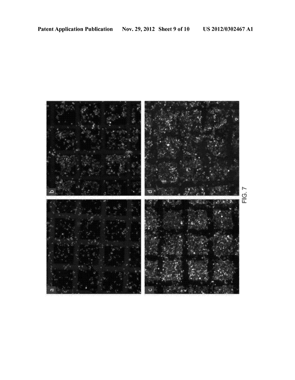 Patterned substrates for cell applications - diagram, schematic, and image 10