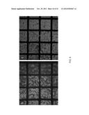 Patterned substrates for cell applications diagram and image