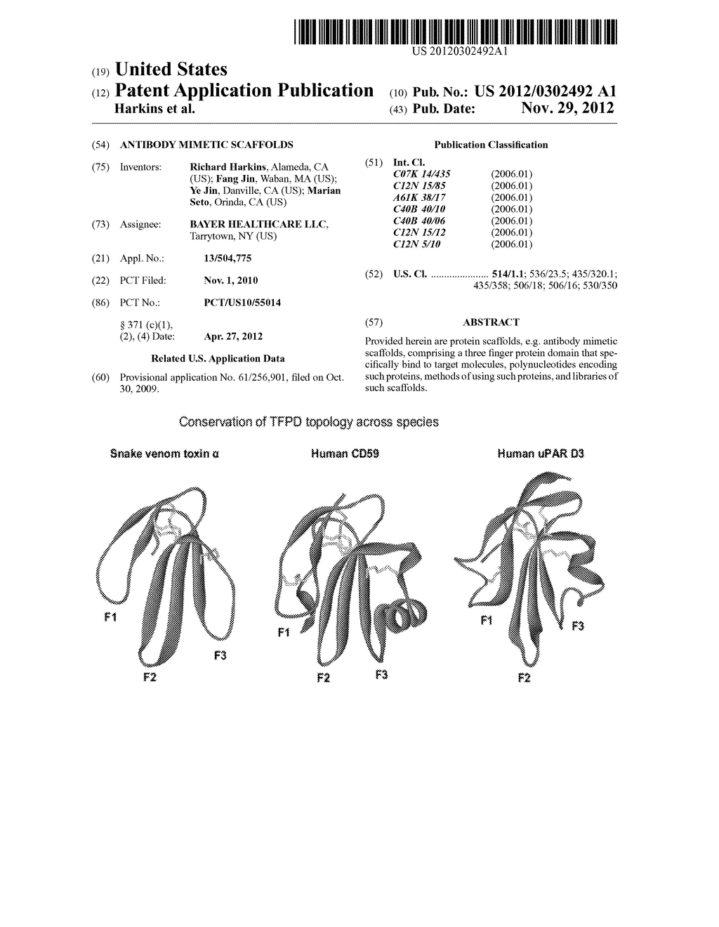 Antibody Mimetic Scaffolds - diagram, schematic, and image 01