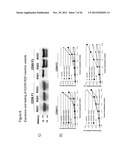 Antibody Mimetic Scaffolds diagram and image