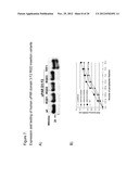 Antibody Mimetic Scaffolds diagram and image