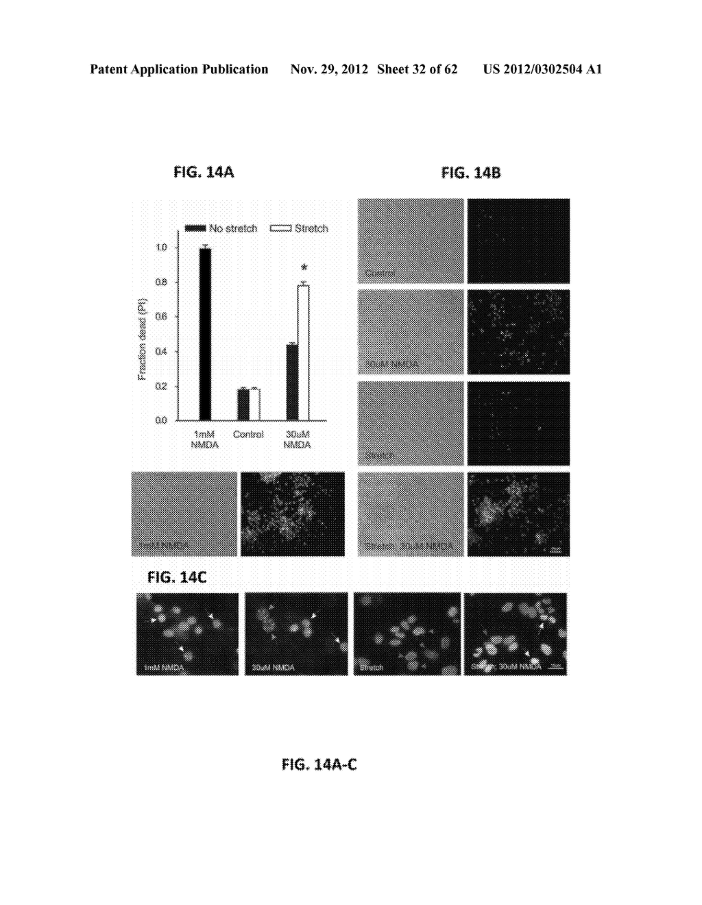 Method Of Reducing Injury To Mammalian Cells - diagram, schematic, and image 33