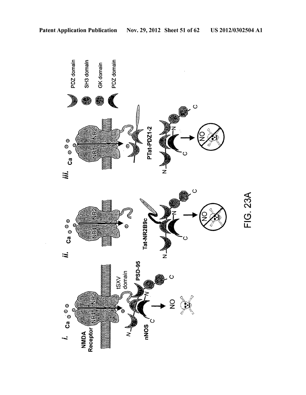 Method Of Reducing Injury To Mammalian Cells - diagram, schematic, and image 52