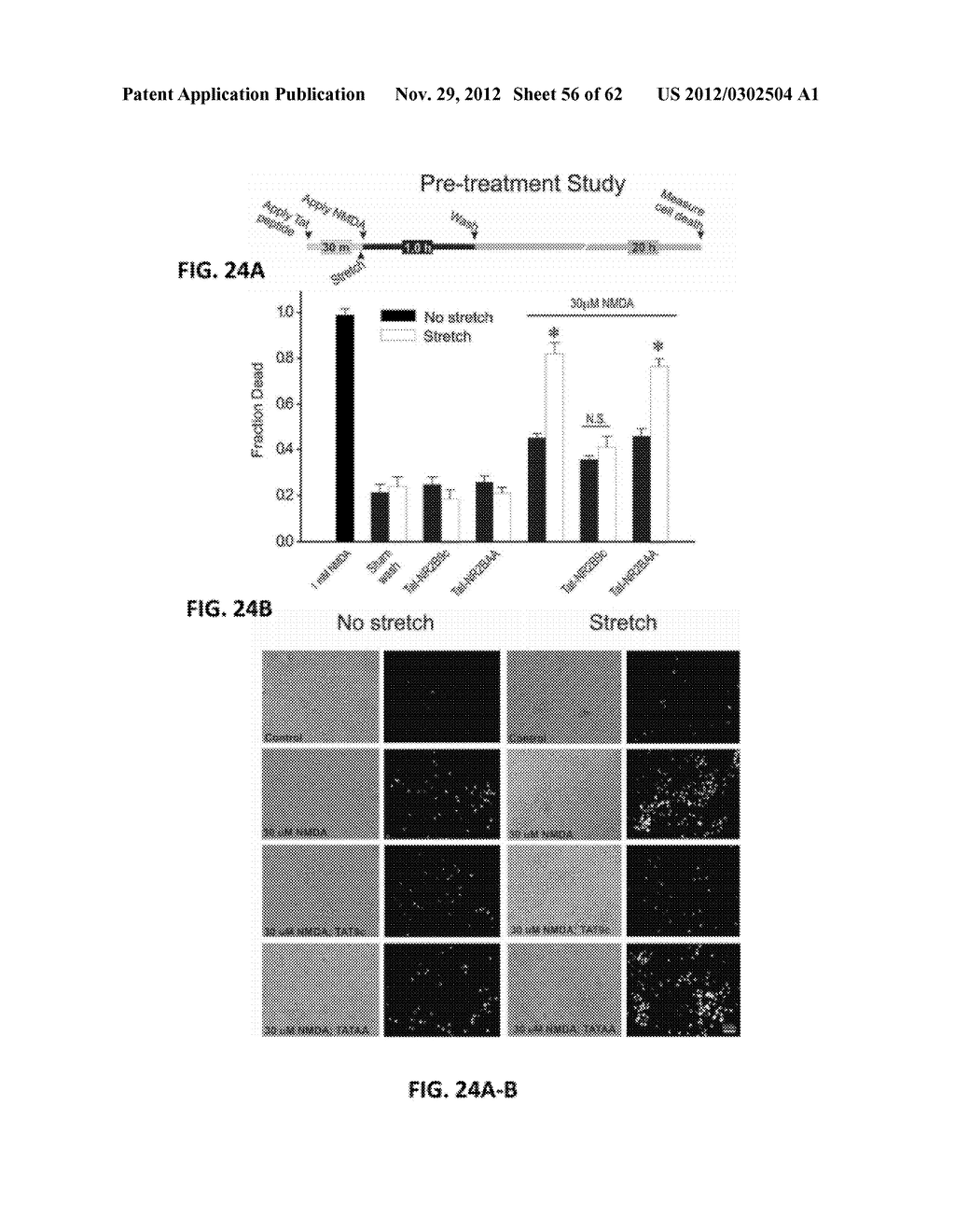 Method Of Reducing Injury To Mammalian Cells - diagram, schematic, and image 57