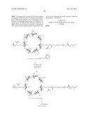 CYCLODEXTRIN-BASED POLYMERS FOR THERAPEUTIC DELIVERY diagram and image