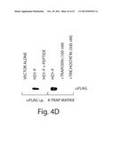 HISTONE DEACETYLASES, AND USES RELATED THERETO diagram and image