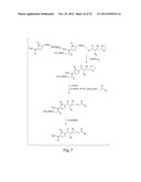 HISTONE DEACETYLASES, AND USES RELATED THERETO diagram and image