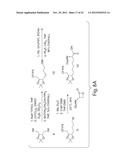 HISTONE DEACETYLASES, AND USES RELATED THERETO diagram and image