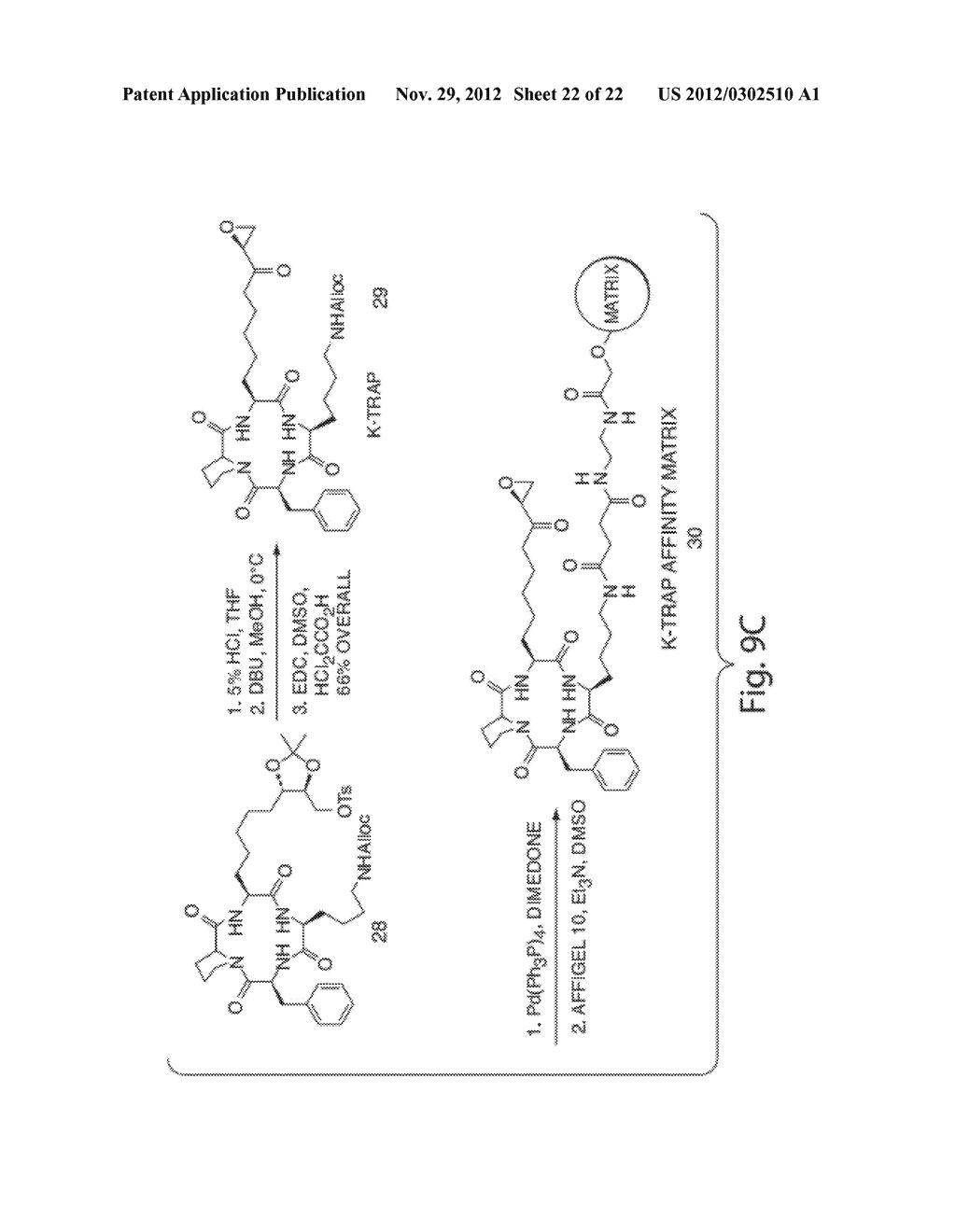 HISTONE DEACETYLASES, AND USES RELATED THERETO - diagram, schematic, and image 23