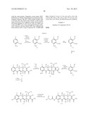 C7-Fluoro Substituted Tetracycline Compounds diagram and image