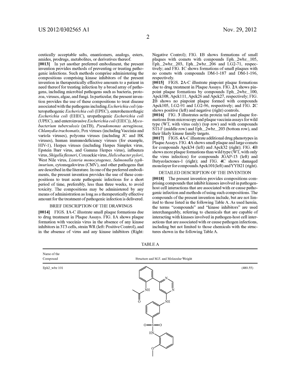 KINASE INHIBITORS FOR PREVENTING OR TREATING PATHOGEN INFECTION AND METHOD     OF USE THEREOF - diagram, schematic, and image 07