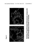 NOVEL BIFUNCTIONAL METNASE/INTNASE INHIBITORS AND RELATED COMPOSITIONS AND     METHODS OF TREATMENT OF CANCER diagram and image