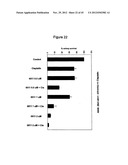 NOVEL BIFUNCTIONAL METNASE/INTNASE INHIBITORS AND RELATED COMPOSITIONS AND     METHODS OF TREATMENT OF CANCER diagram and image