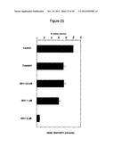 NOVEL BIFUNCTIONAL METNASE/INTNASE INHIBITORS AND RELATED COMPOSITIONS AND     METHODS OF TREATMENT OF CANCER diagram and image