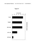 NOVEL BIFUNCTIONAL METNASE/INTNASE INHIBITORS AND RELATED COMPOSITIONS AND     METHODS OF TREATMENT OF CANCER diagram and image