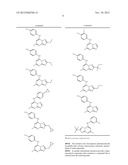 ANTIMALARIAL AGENTS THAT ARE INHIBITORS OF DIHYDROOROTATE DEHYDROGENASE diagram and image