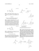 ANTIMALARIAL AGENTS THAT ARE INHIBITORS OF DIHYDROOROTATE DEHYDROGENASE diagram and image