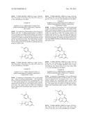 ANTIMALARIAL AGENTS THAT ARE INHIBITORS OF DIHYDROOROTATE DEHYDROGENASE diagram and image