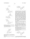 ANTIMALARIAL AGENTS THAT ARE INHIBITORS OF DIHYDROOROTATE DEHYDROGENASE diagram and image