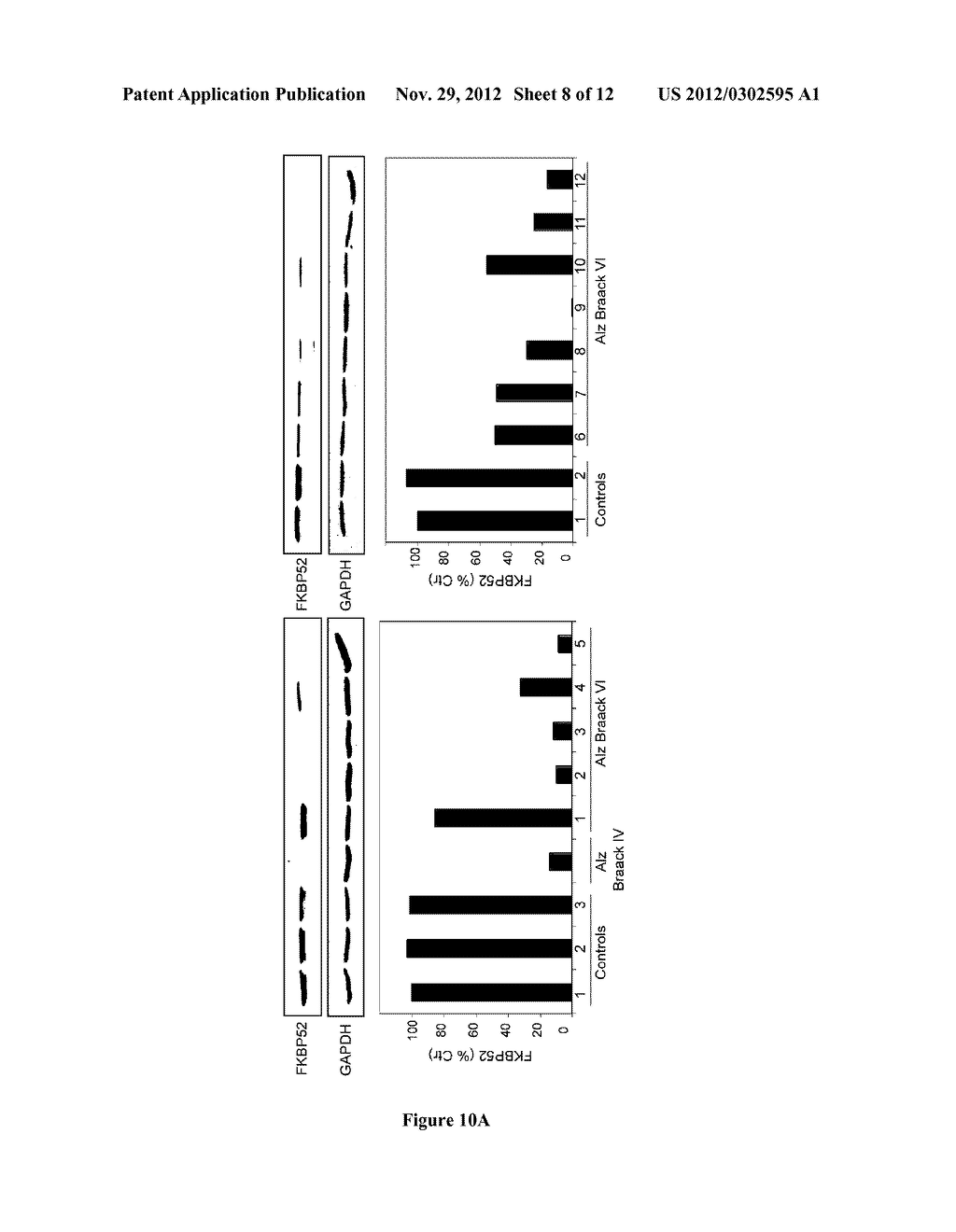 FKBP52-TAU INTERACTION AS A NOVEL THERAPEUTICAL TARGET FOR TREATING THE     NEUROLOGICAL DISORDERS INVOLVING TAU DYSFUNCTION - diagram, schematic, and image 09