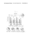 METHOD FOR IMPROVING CEREBRAL CIRCULATION OR TREATING A CEREBRAL BLOOD     FLOW DISORDER diagram and image