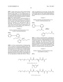 CONJUGATES, PARTICLES, COMPOSITIONS, AND RELATED METHODS diagram and image