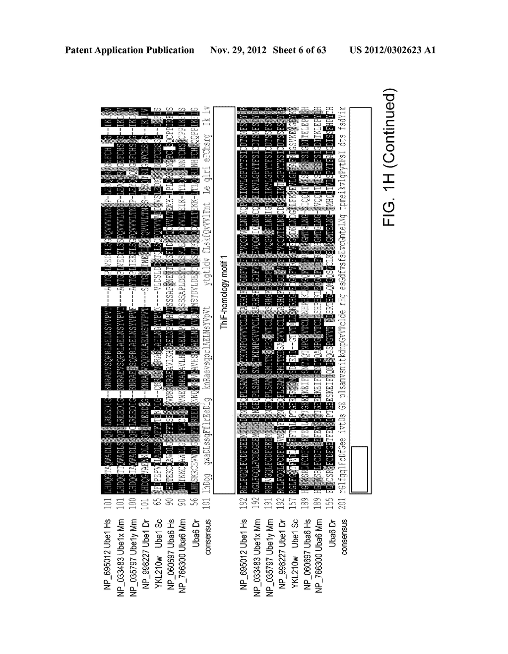 Novel Activation and Transfer Cascade for Ubiquitin - diagram, schematic, and image 07