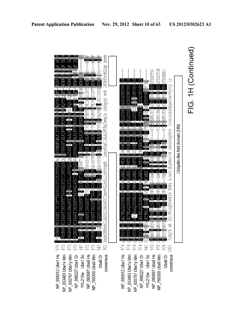 Novel Activation and Transfer Cascade for Ubiquitin - diagram, schematic, and image 11