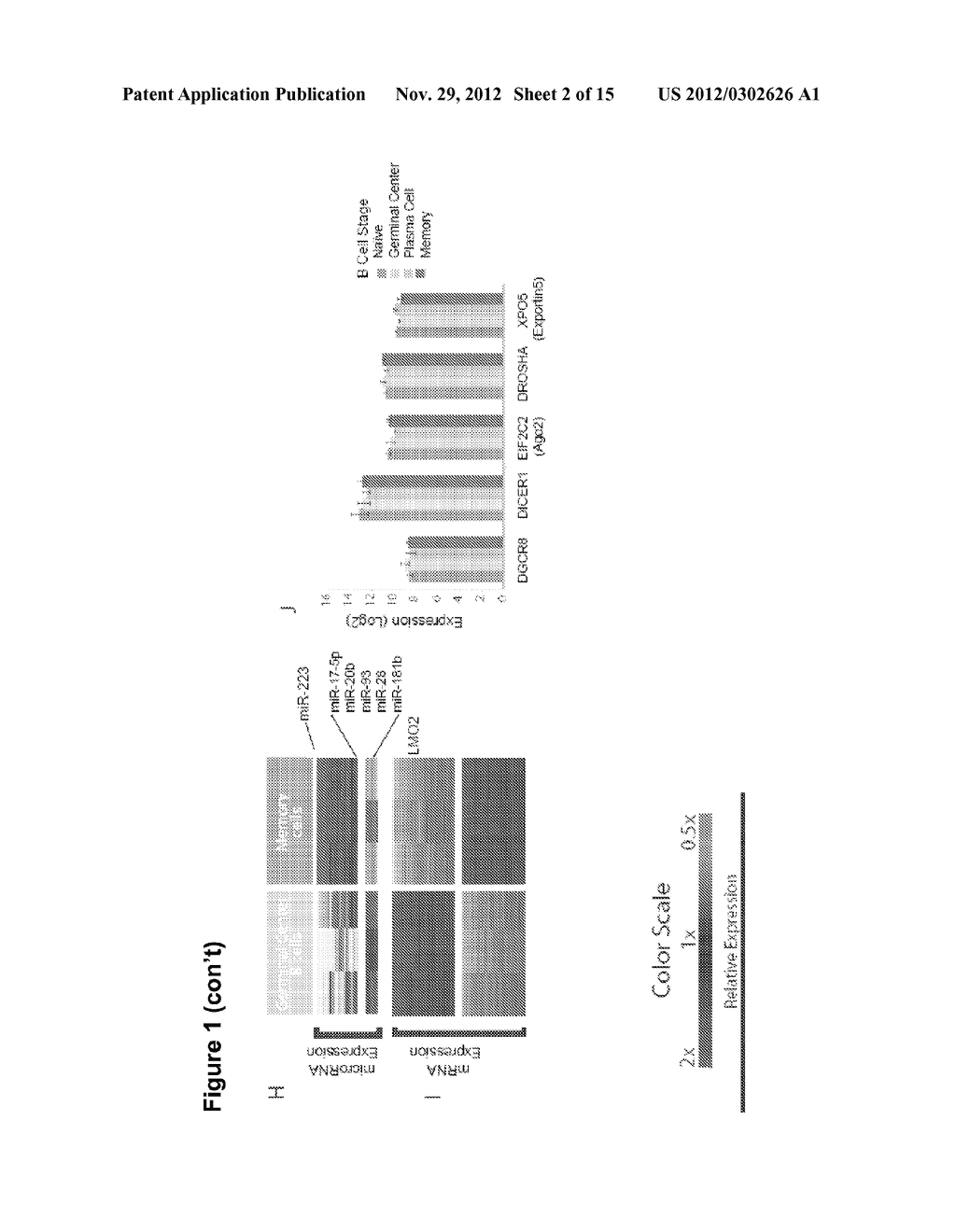 MICRORNA AND USE THEREOF IN IDENTIFICATION OF B CELL MALIGNANCIES - diagram, schematic, and image 03