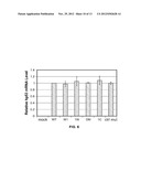 OLIGONUCLEOTIDES WHICH INHIBIT P53 INDUCTION IN RESPONSE TO CELLULAR     STRESS diagram and image