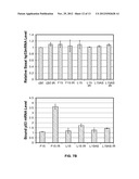 OLIGONUCLEOTIDES WHICH INHIBIT P53 INDUCTION IN RESPONSE TO CELLULAR     STRESS diagram and image