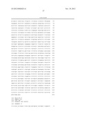 OLIGONUCLEOTIDES WHICH INHIBIT P53 INDUCTION IN RESPONSE TO CELLULAR     STRESS diagram and image