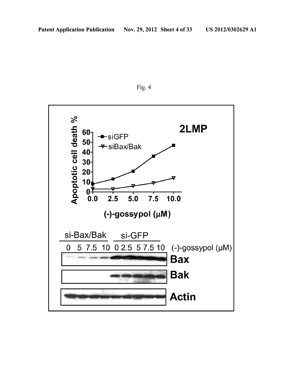 BIOMARKERS FOR GOSSYPOL CHEMOTHERAPY AND METHODS OF TREATING DISEASE - diagram, schematic, and image 05