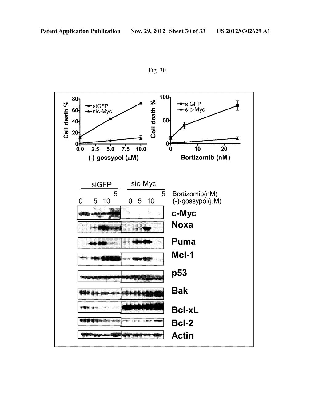 BIOMARKERS FOR GOSSYPOL CHEMOTHERAPY AND METHODS OF TREATING DISEASE - diagram, schematic, and image 31