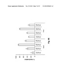 Inhibitors of PFKFB3 for Cancer Therapy diagram and image