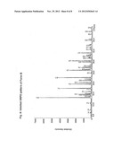 Crystalline Forms of     (-)-(1R,2R)-3-(3-dimethylamino-1-ethyl-2-methylpropyl)-phenol     Hydrochloride diagram and image