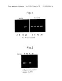 METHOD FOR SCREENING AMELIORANTS OF DRY SKIN CAUSED BY ATOPIC DERMATITIS     USING BLEOMYCIN HYDROLASE ACTIVITY AS INDICATOR diagram and image