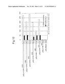 METHOD FOR SCREENING AMELIORANTS OF DRY SKIN CAUSED BY ATOPIC DERMATITIS     USING BLEOMYCIN HYDROLASE ACTIVITY AS INDICATOR diagram and image