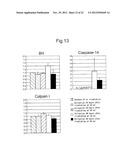 METHOD FOR SCREENING AMELIORANTS OF DRY SKIN CAUSED BY ATOPIC DERMATITIS     USING BLEOMYCIN HYDROLASE ACTIVITY AS INDICATOR diagram and image