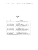 METHOD FOR SCREENING AMELIORANTS OF DRY SKIN CAUSED BY ATOPIC DERMATITIS     USING BLEOMYCIN HYDROLASE ACTIVITY AS INDICATOR diagram and image