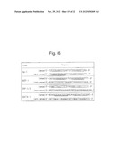 METHOD FOR SCREENING AMELIORANTS OF DRY SKIN CAUSED BY ATOPIC DERMATITIS     USING BLEOMYCIN HYDROLASE ACTIVITY AS INDICATOR diagram and image