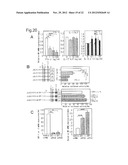 METHOD FOR SCREENING AMELIORANTS OF DRY SKIN CAUSED BY ATOPIC DERMATITIS     USING BLEOMYCIN HYDROLASE ACTIVITY AS INDICATOR diagram and image