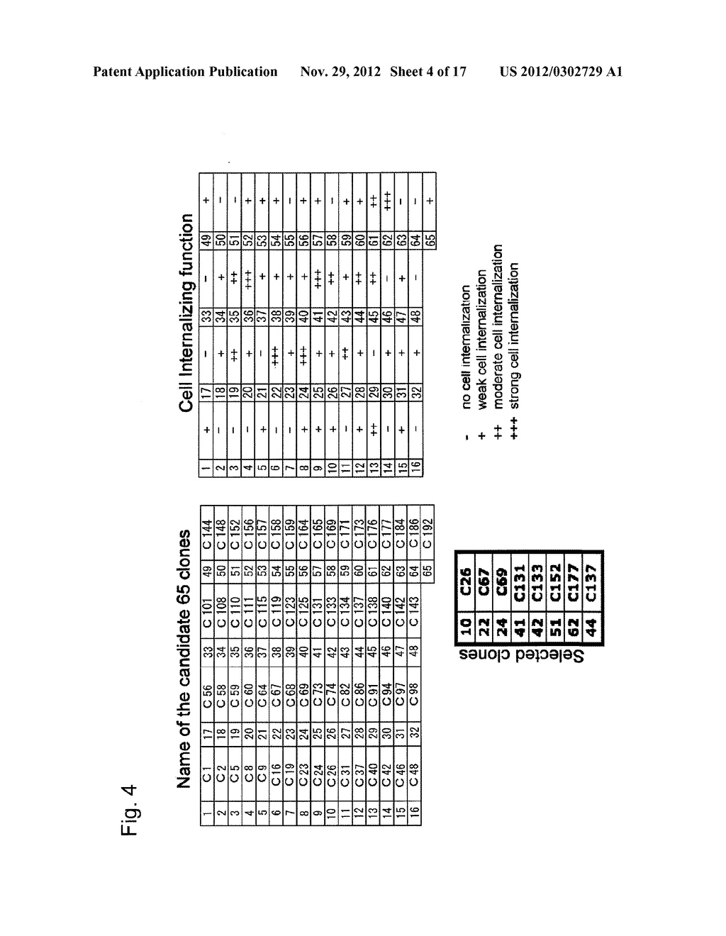 ANTICANCER ANTI-MORTALIN PEPTIDE ANTIBODY - diagram, schematic, and image 05