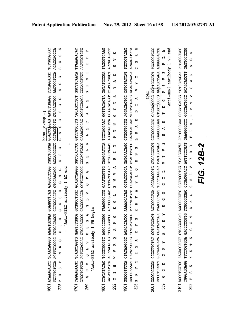 COILED COIL AND/OR TETHER CONTAINING PROTEIN COMPLEXES AND USES THEREOF - diagram, schematic, and image 17